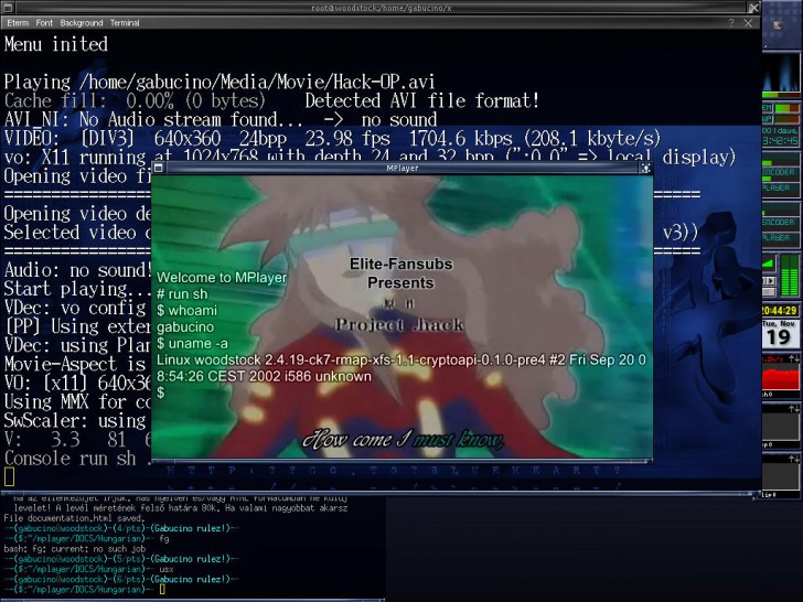 MPlayer (โปรแกรมเล่นวิดีโอ รองรับไฟล์ได้หลากหลายนามสกุล) : 