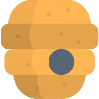 VidBee (โปรแกรมช่วยดาวน์โหลดวิดีโอสุดทรงพลัง)