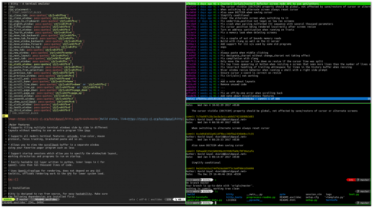 kitty (โปรแกรม Terminal สำหรับสาย Custom และ Power User) โปรแกรมเทอร์มินัล kitty