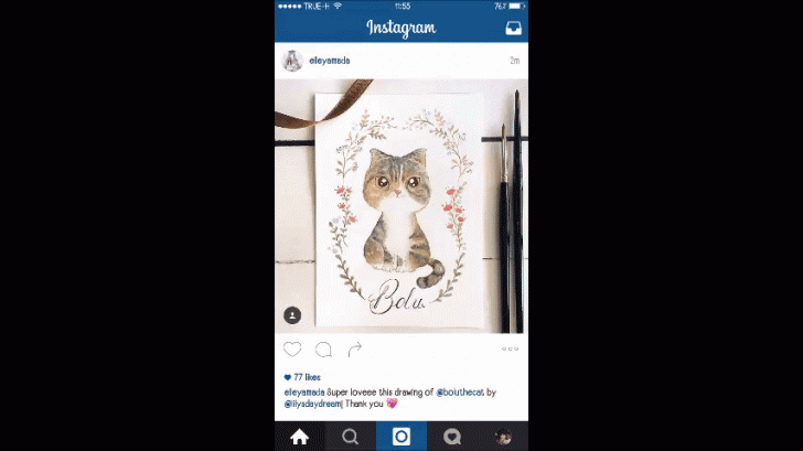 LikelyGreedyFlycatcher