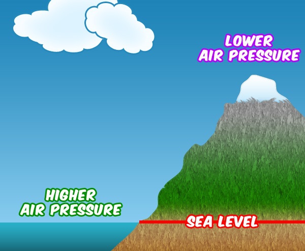 3290_1_large 3290_1_large