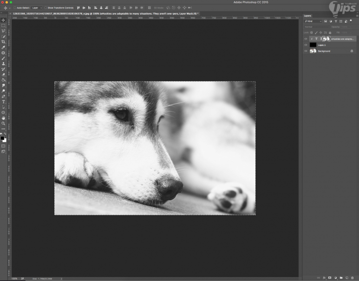 8 สเต็ปการแต่งภาพอาร์ตด้วยตัวหนังสือ ผ่าน Photoshop \\\