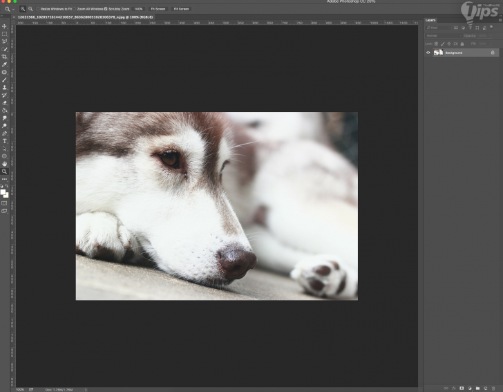 8 สเต็ปการแต่งภาพอาร์ตด้วยตัวหนังสือ ผ่าน Photoshop \\\