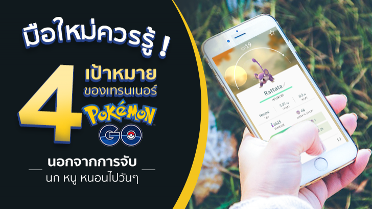 มือใหม่ควรรู้! 4 เป้าหมายของเทรนเนอร์ Pokemon GO นอกจากการจับนก หนู หนอนไปวันๆ