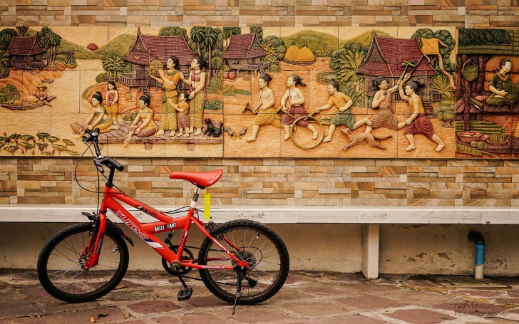 คู่มือเลือกซื้อเลนส์ตัวใหม่ ฉบับเข้าใจง่าย ให้กับกล้องดิจิตอลคู่ใจ