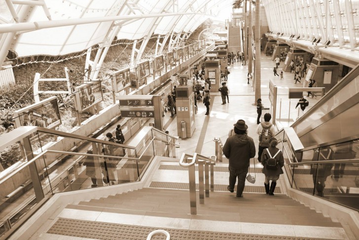 คู่มือเลือกซื้อเลนส์ตัวใหม่ ฉบับเข้าใจง่าย ให้กับกล้องดิจิตอลคู่ใจ