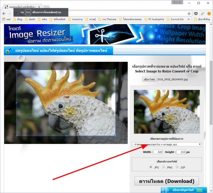 ย่อภาพ เพื่อทำภาพโปรไฟล์ Facebook อินสตาแกรม ได้ง่ายๆ ด้วยเครื่องมือของ Thaiware