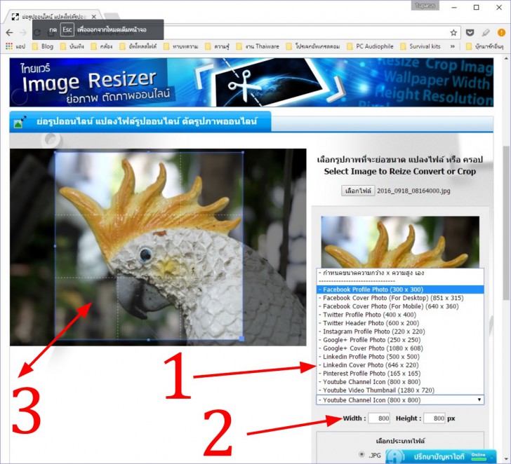 ย่อภาพ เพื่อทำภาพโปรไฟล์ Facebook อินสตาแกรม ได้ง่ายๆ ด้วยเครื่องมือของ Thaiware