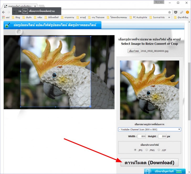 ย่อภาพ เพื่อทำภาพโปรไฟล์ Facebook อินสตาแกรม ได้ง่ายๆ ด้วยเครื่องมือของ Thaiware