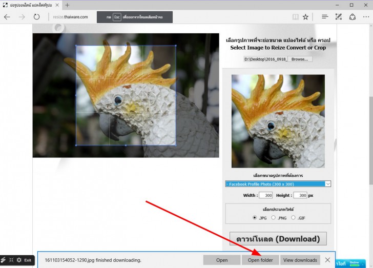 ย่อภาพ เพื่อทำภาพโปรไฟล์ Facebook อินสตาแกรม ได้ง่ายๆ ด้วยเครื่องมือของ Thaiware