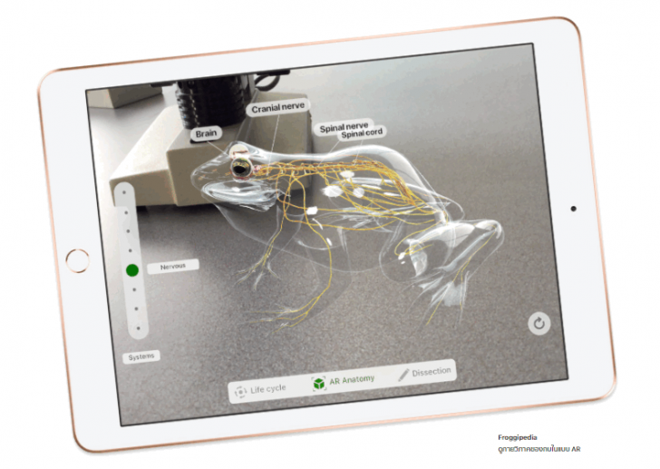 เลือกอะไรดี ระหว่าง iPad รุ่น 9.7 นิ้ว (2018) หรือ iPad Pro สำหรับผู้ที่อยากใช้ Apple Pencil