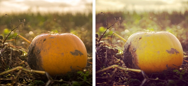 [Thaiware Infographic 61] เลือกใช้ Filters ใน Instagram อย่างไรให้ภาพออกมาปัง