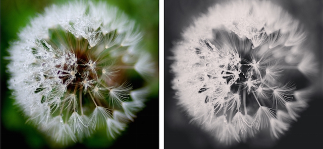 [Thaiware Infographic 61] เลือกใช้ Filters ใน Instagram อย่างไรให้ภาพออกมาปัง