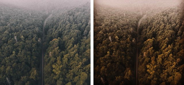 [Thaiware Infographic 61] เลือกใช้ Filters ใน Instagram อย่างไรให้ภาพออกมาปัง