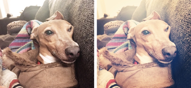 [Thaiware Infographic 61] เลือกใช้ Filters ใน Instagram อย่างไรให้ภาพออกมาปัง