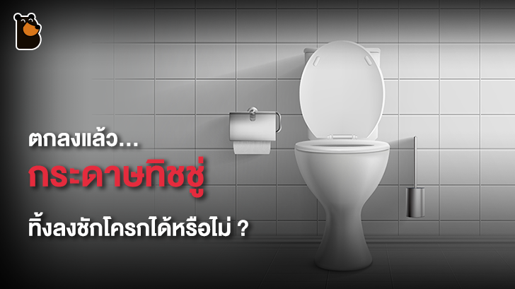 ไขปริศนาคำถามโลกแตก สรุปแล้วกระดาษทิชชู่ทิ้งลงชักโครกได้หรือไม่?