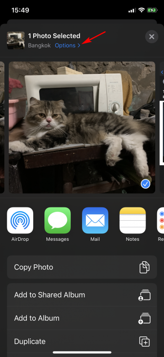 คุณสมบัติใหม่ใน iOS 13 ที่คุณอาจยังไม่รู้ว่ามีให้ใช้ด้วยเหรอเนี่ย