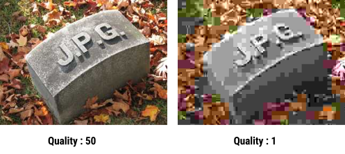 ไฟล์ JPEG, PNG และ GIF ไฟล์รูปตระกูลยอดนิยม เหล่านี้ ต่างกันอย่างไร ? เลือกใช้แบบไหนดี ? ไฟล์ JPEG, PNG และ GIF ไฟล์รูปตระกูลยอดนิยม เหล่านี้ ต่างกันอย่างไร ? เลือกใช้แบบไหนดี ?