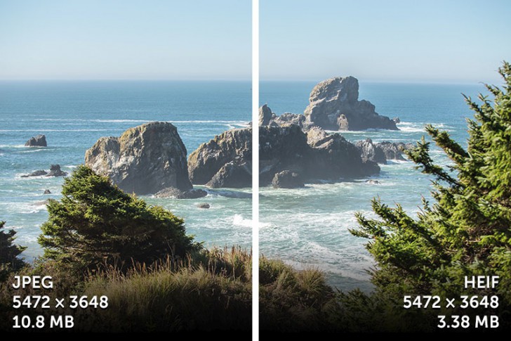 ไฟล์ JPEG, PNG และ GIF ไฟล์รูปตระกูลยอดนิยม เหล่านี้ ต่างกันอย่างไร ? เลือกใช้แบบไหนดี ?