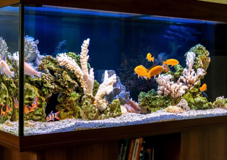 ฮวงจุ้ย Router ! ตั้งเราเตอร์อย่างไร ให้สัญญาณ Wi-Fi กระจายได้ทั่วถึง ?