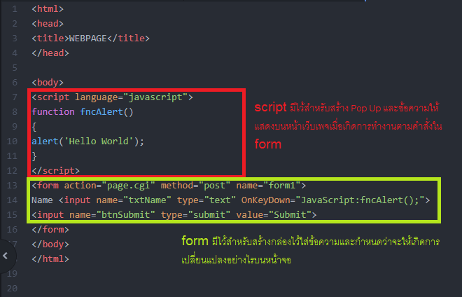 ภาษา HTML, CSS และ JavaScript แตกต่างกันอย่างไร ? เลือกใช้ตัวไหนสร้างเว็บเพจดี ?