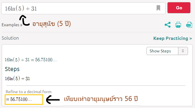 สุนัขอายุ 1 ปี ไม่ได้มีอายุเท่ากับเด็ก 7 ขวบ นักวิจัยพบสูตรคำนวณใหม่ !