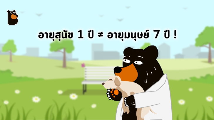 สุนัขอายุ 1 ปี ไม่ได้มีอายุเท่ากับเด็ก 7 ขวบ นักวิจัยพบสูตรคำนวณใหม่ !