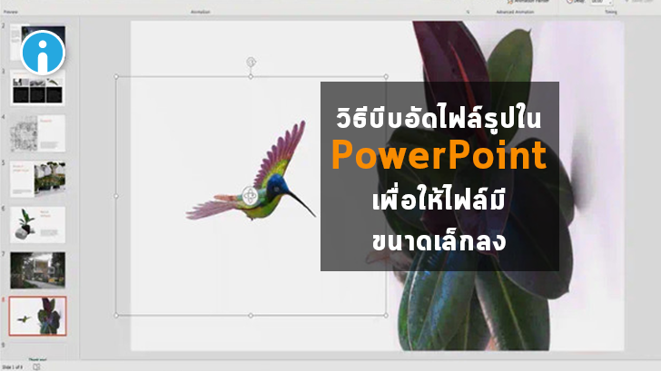 วิธีลดขนาดไฟล์รูปใน Microsoft PowerPoint เพื่อให้ไฟล์นำเสนองาน มีขนาดเล็กลง