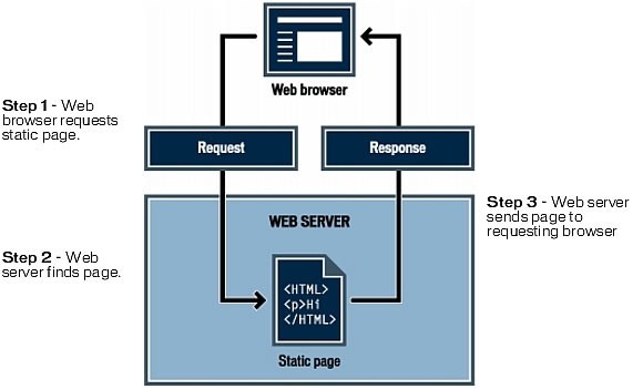 Web Browser คืออะไร ? และ Search Engine คืออะไร ? และแตกต่างกันอย่างไร ?