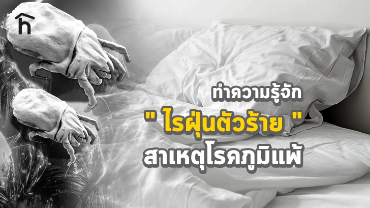 รู้จักกับตัวไรฝุ่น (Dust Mite) สาเหตุของโรคภูมิแพ้ พร้อมวิธีกำจัดตัวไรฝุ่น