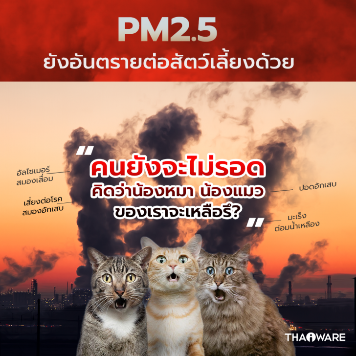 ฝุ่นละออง PM 2.5 คืออะไร ? ย่อมาจากคำว่าอะไร ? และ ผลกระทบ อันตรายจากฝุ่น PM 2.5