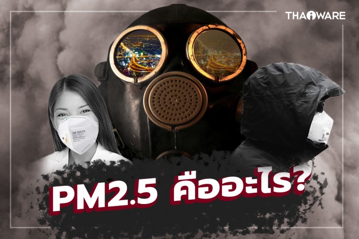 ฝุ่นละออง PM 2.5 คืออะไร ? ย่อมาจากคำว่าอะไร ? และ ผลกระทบ อันตรายจากฝุ่น PM 2.5