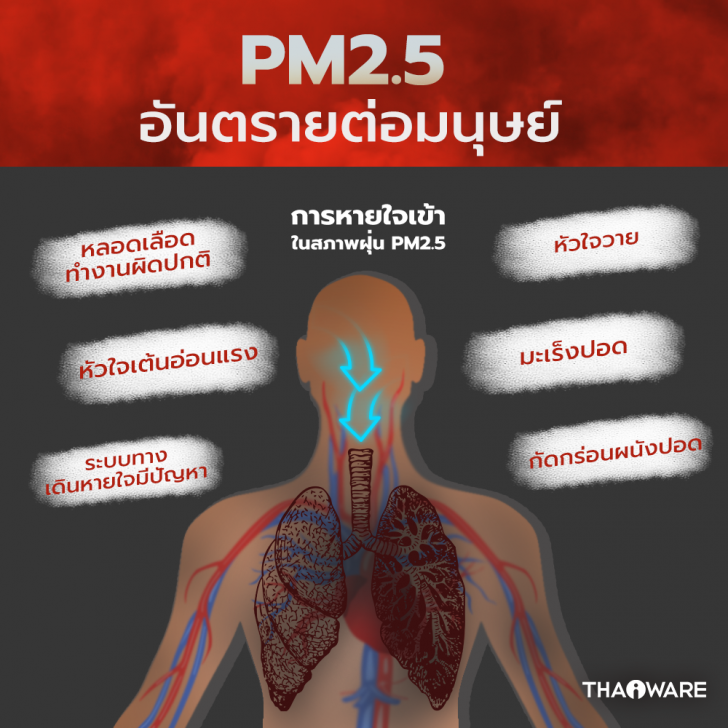 ฝุ่นละออง PM 2.5 คืออะไร ? ย่อมาจากคำว่าอะไร ? และ ผลกระทบ อันตรายจากฝุ่น PM 2.5