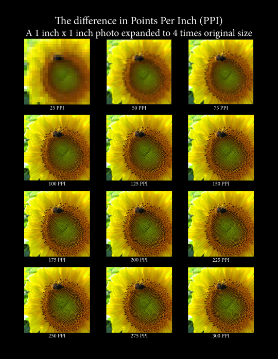 จอ Ultrawide คืออะไร ? และถ้าเทียบจอ Ultrawide กับ Widescreen 2 จอ จะเลือกแบบไหนดี ?