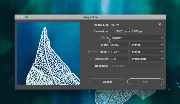 PPI กับ DPI คือ อะไร ? ความละเอียดทั้ง 2 หน่วย นี้แตกต่างกันอย่างไร ?