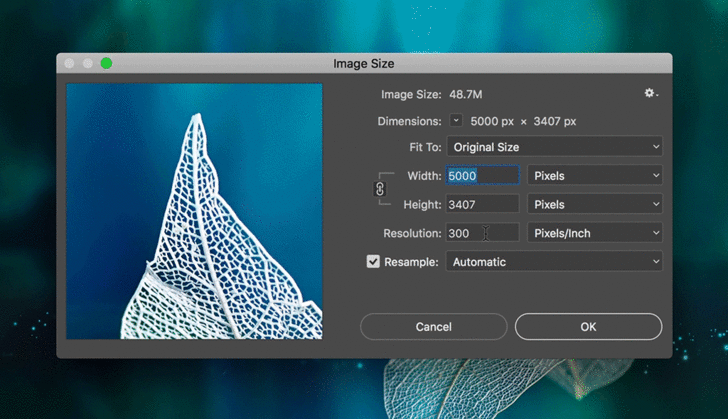 PPI กับ DPI คือ อะไร ? ความละเอียดทั้ง 2 หน่วย นี้แตกต่างกันอย่างไร ?