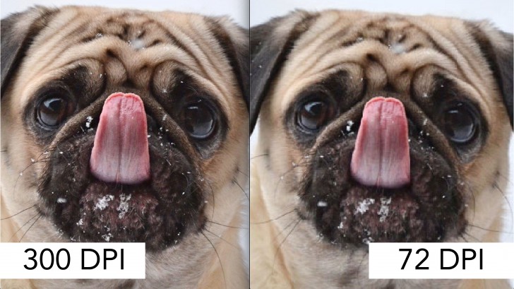 PPI กับ DPI คือ อะไร ? ความละเอียดทั้ง 2 หน่วย นี้แตกต่างกันอย่างไร ?