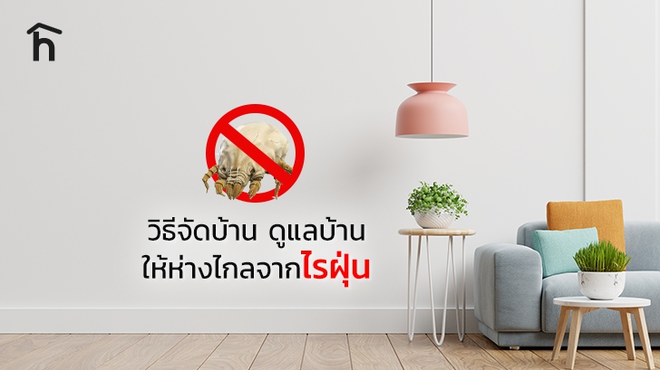 วิธีจัดบ้าน ดูแลบ้าน ให้ห่างไกลจากไรฝุ่น (Dust Mite)