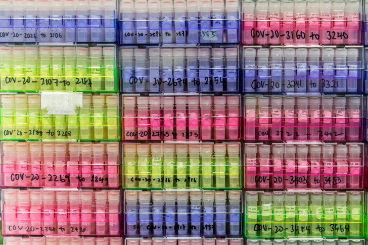 สายพันธุ์ไวรัสโควิด-19