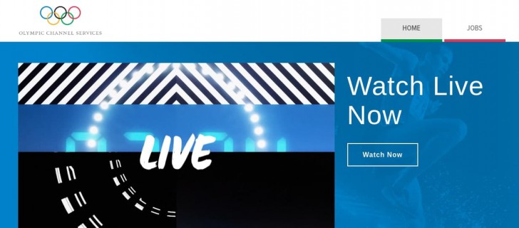 หลอกว่าเป็นเว็บไซต์ทางการ (Fake Official Website)