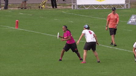 กีฬาจานร่อน