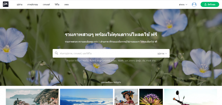 เว็บไซต์โหลดรูปฟรี Pixabay.com