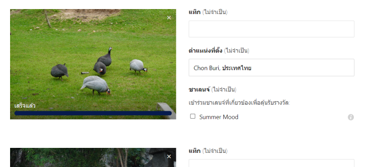 เว็บไซต์โหลดรูปฟรี Pexels.com