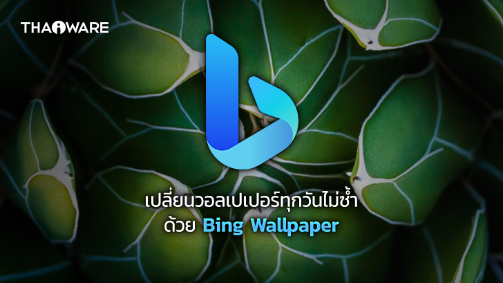 วิธีเปลี่ยนรูปพื้นหลัง หรือวอลล์เปเปอร์ บน Windows ให้ไม่ซ้ำกันทุกวัน ด้วย Bing Wallpaper