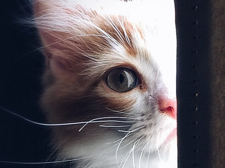 เทคนิคการสัมภาษณ์งานออนไลน์ (Online Interview Tips)