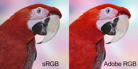 ความแตกต่างของ sRGB และ Adobe RGB ความแตกต่างของ sRGB และ Adobe RGB