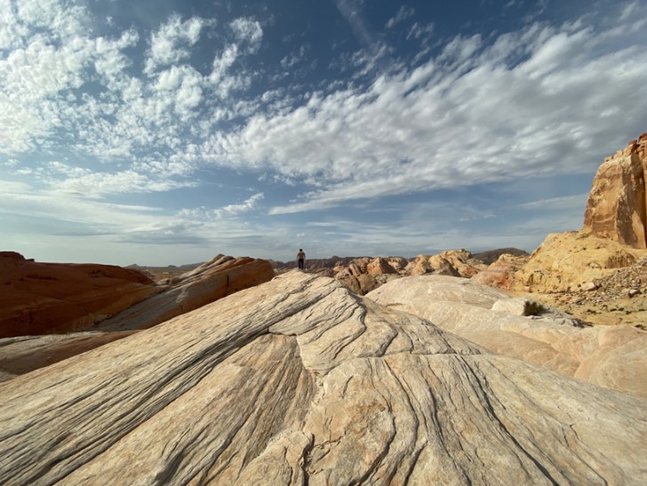 กล้องหลังแบบคู่ ถ่ายวิดีโอ 4K ได้