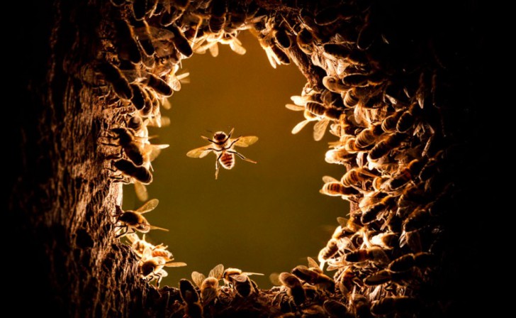 ตัวอย่างการใช้ AI ที่น่าสนใจในระดับโลก