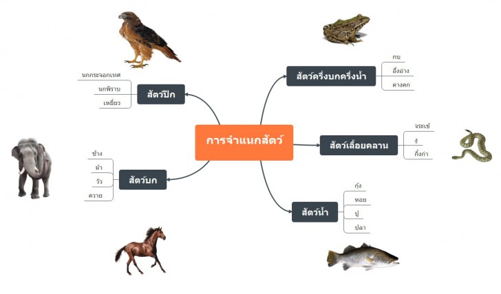 ตัวอย่างของการใช้งาน แผนผังความคิด (Mind Map)