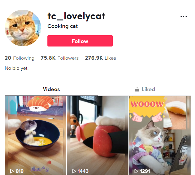 Influencer สายกิน, อาหาร Influencer สายกิน, อาหาร